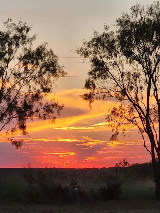 Anytime Rv Resort Picture 4