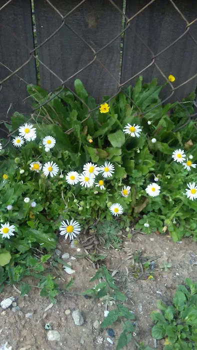 Frio RV Park Picture 4