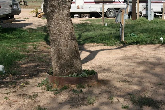 Southern Star RV Park Picture 3