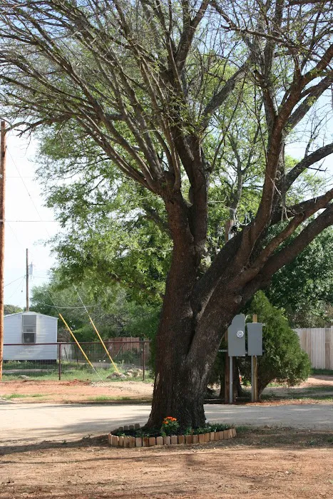 Southern Star RV Park Picture 6