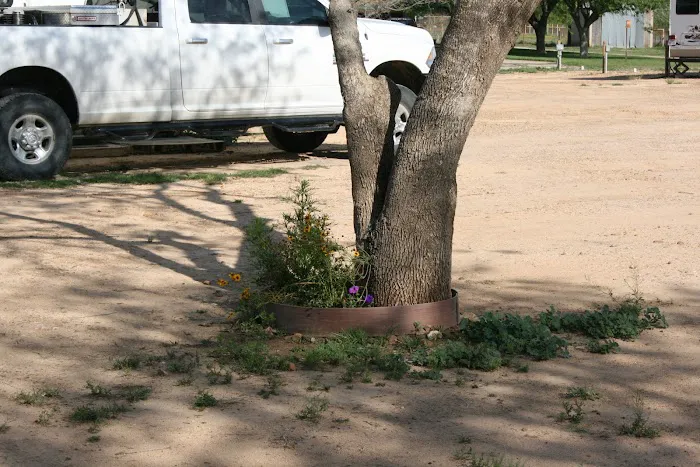 Southern Star RV Park Picture 10