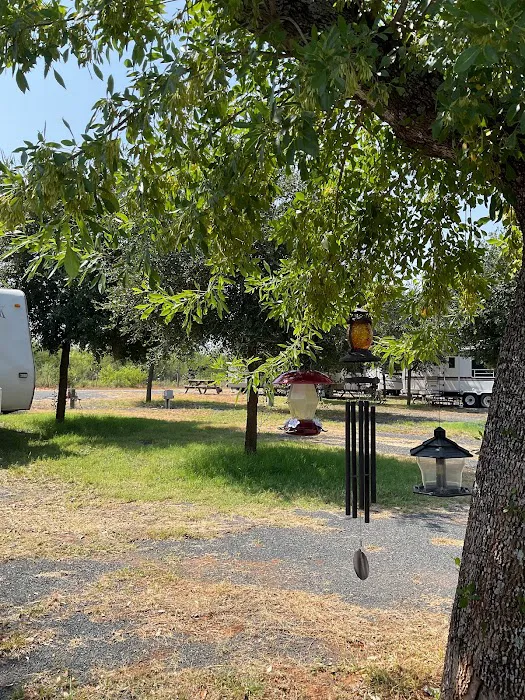 Bella Vita RV Park Picture 4