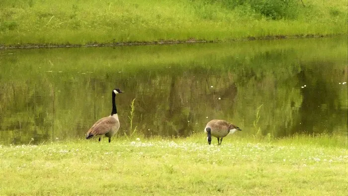 Pecan Valley RV Park LLC Picture 2