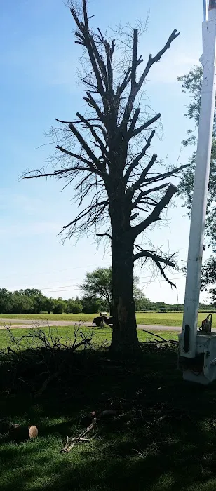 Wildwood Acres RV Park Picture 4