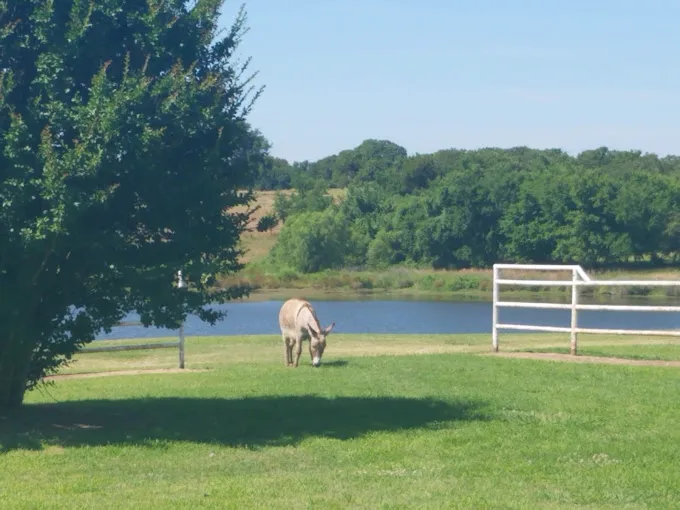 Last Chance RV Ranch Picture 5
