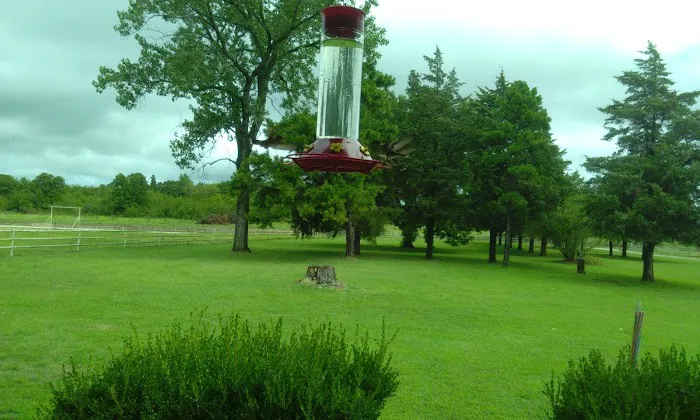 Last Chance RV Ranch Picture 9