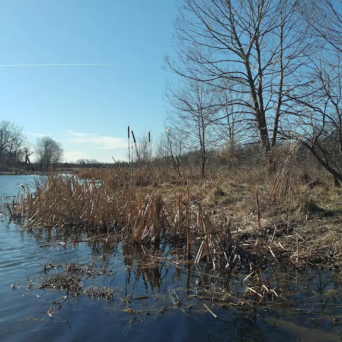 Regency Mobile Home Park Picture 2