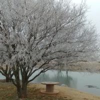 Bridger Creek ico