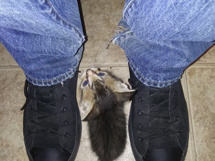 Western Park Manufactured Home Community Picture 10