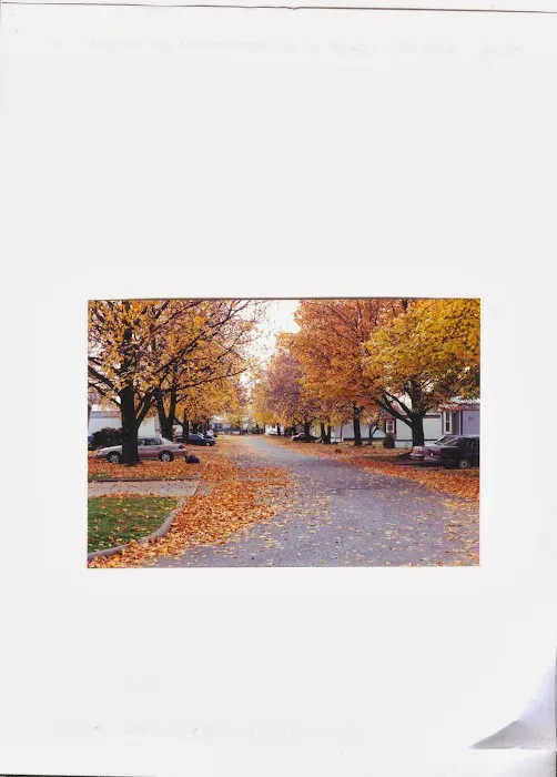 Trailwood Mobile Home & RV Park Picture 1