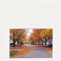 Trailwood Mobile Home & RV Park ico