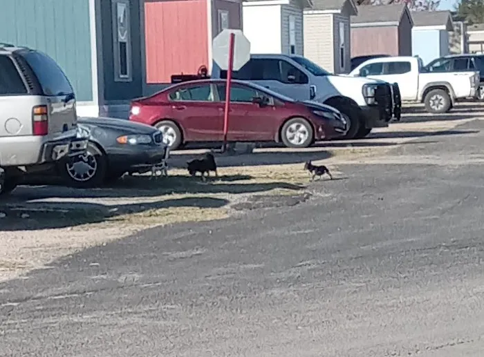 South Concho MHC Picture 1