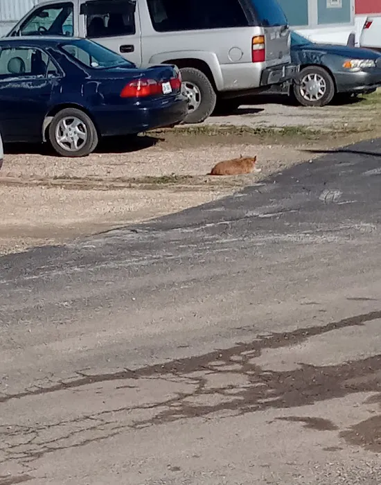 South Concho MHC Picture 10