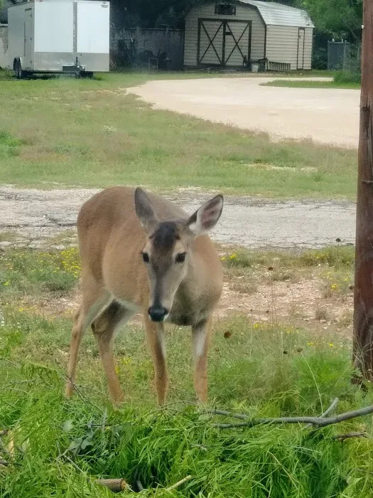 Huling RV Park Picture 3