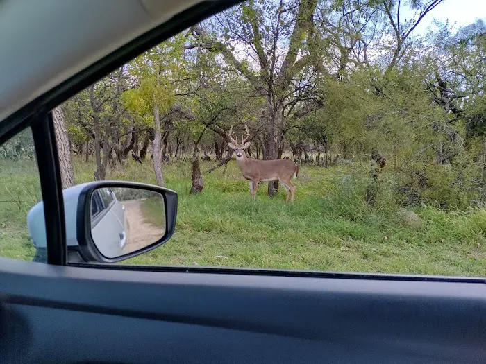 Huling RV Park Picture 10