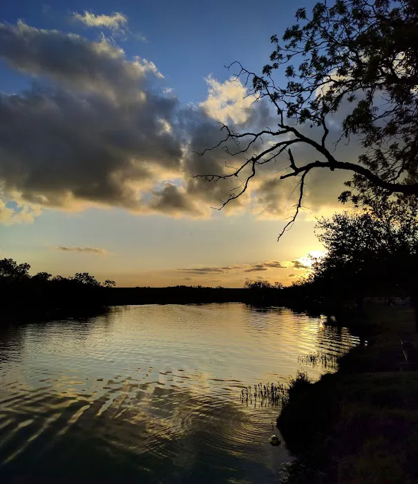 Spring Creek Marina & RV Park Picture 5