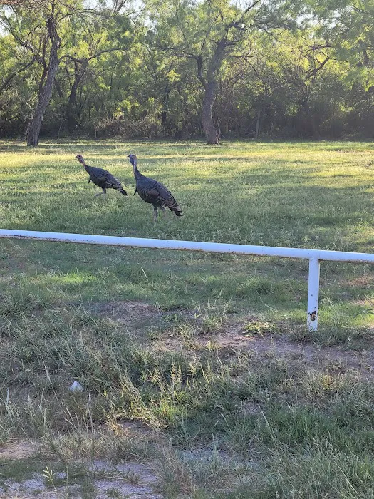 Spring Creek Marina & RV Park Picture 4