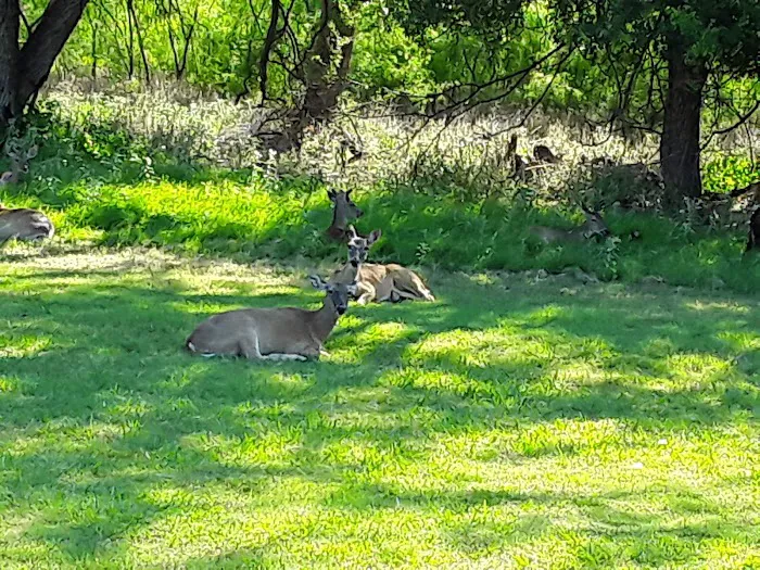 Spring Creek Marina & RV Park Picture 10