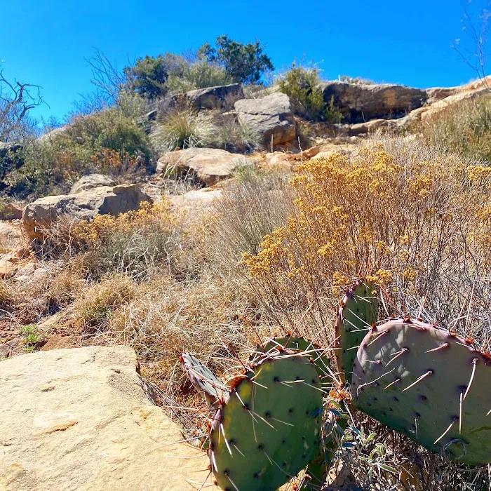 Lakeview Rv park San Angelo tx Picture 2