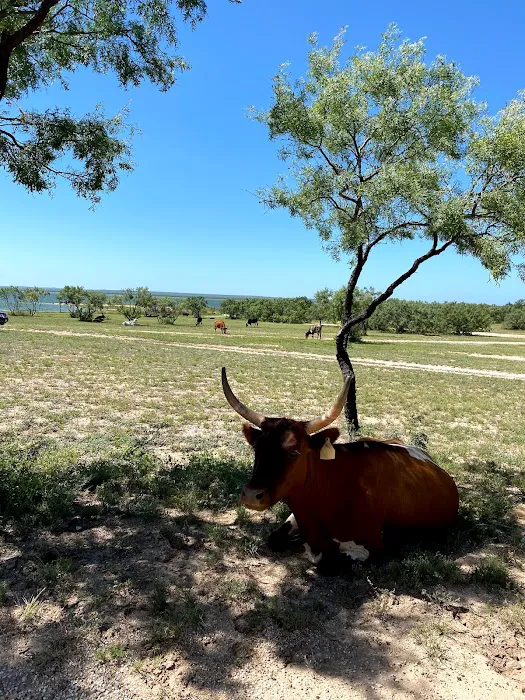 Lakeview Rv park San Angelo tx Picture 8