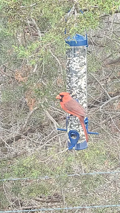 Twin Buttes Trailer Park Picture 1