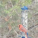 Twin Buttes Trailer Park