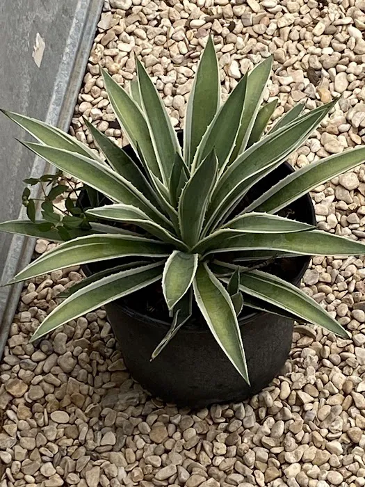 Serenity Hills Picture 2