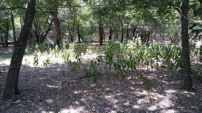 Serenity Hills Picture 1