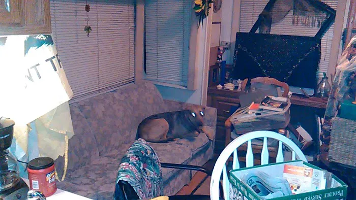 Serenity Hills Picture 9