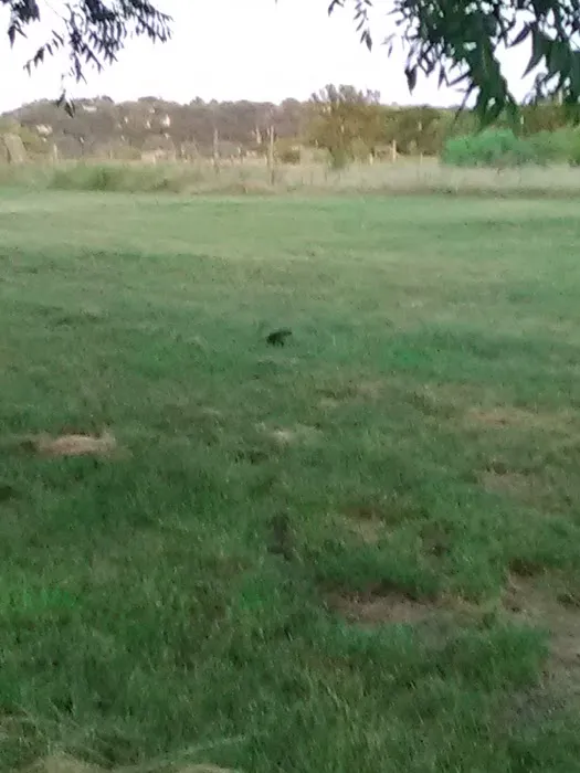 Serenity Hills Picture 8