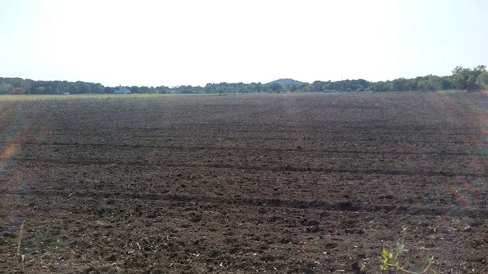 Serenity Hills Picture 5