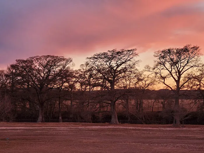 Old River Road RV Resort Kerrville, TX Picture 7