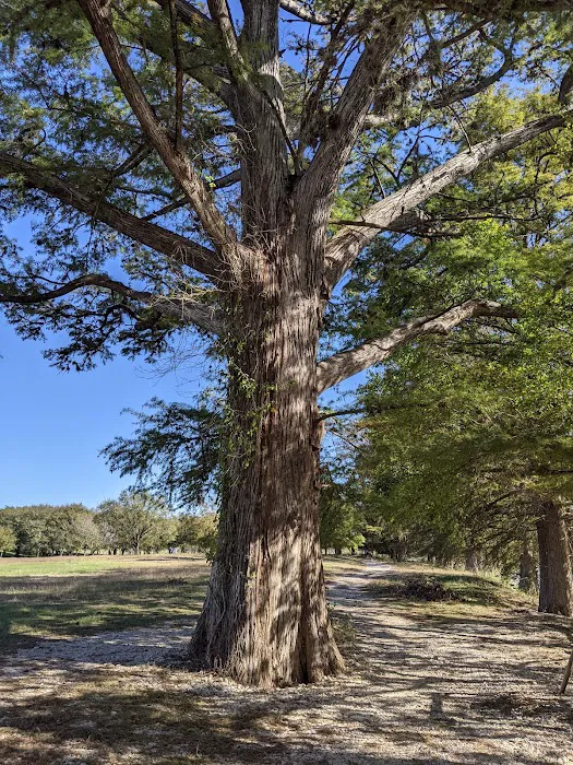 Old River Road RV Resort Kerrville, TX Picture 10