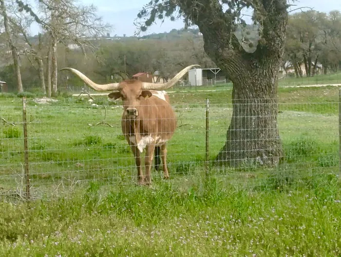 Triple T RV Resort Picture 6