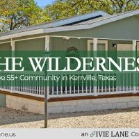 The Wilderness ico