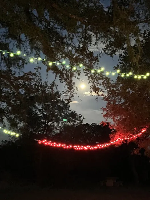 RV Parking Picture 7