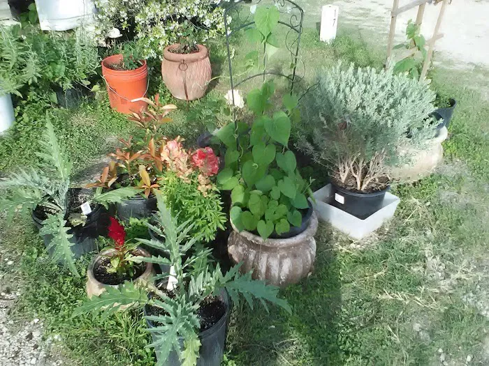 Happy Days RV Park Picture 5