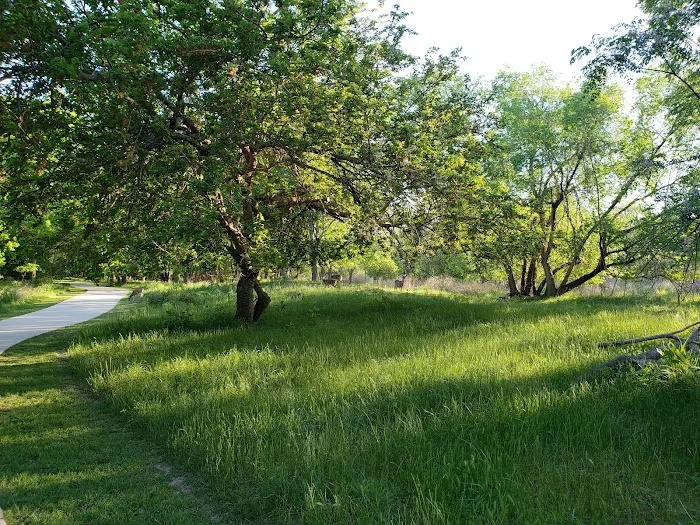 Rio Robles Mobile Home & RV Park Picture 3