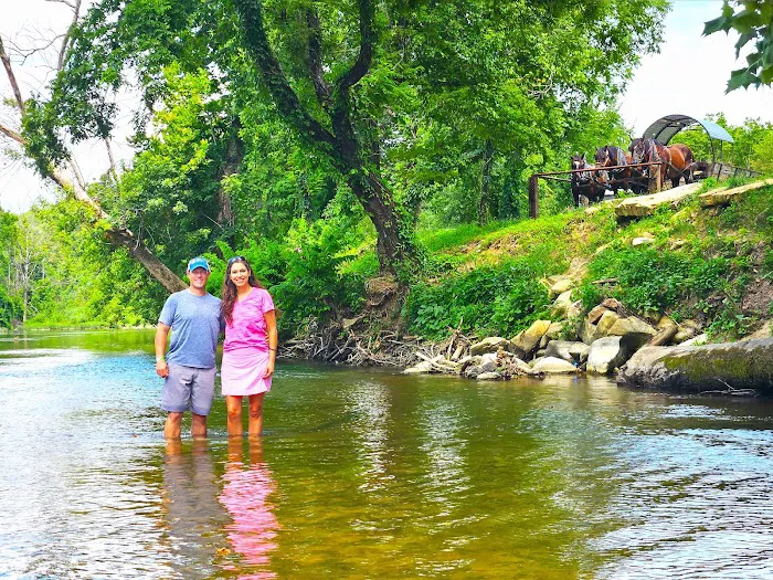 Clydesdale Experience and Campgrounds Picture 1