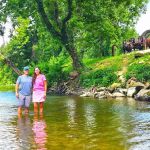 Clydesdale Experience and Campgrounds