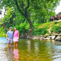 Clydesdale Experience and Campgrounds ico