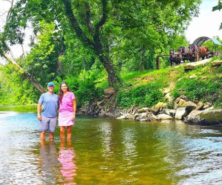 Clydesdale Experience and Campgrounds