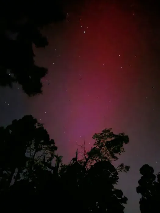 MOUNTAIN HOME RV PARK/CRESTWOOD Picture 6