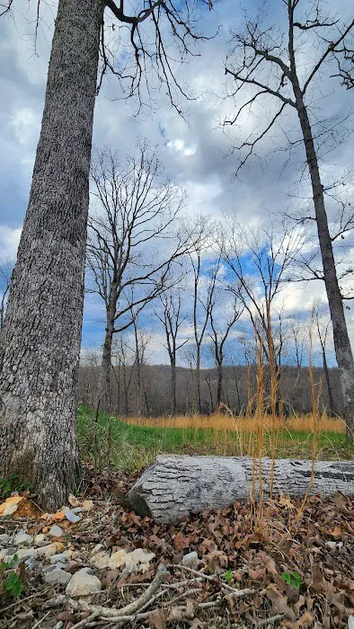 Hideaway RV Park Picture 1