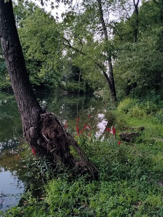 Turkey Creek - Escapes RV Parks Picture 10