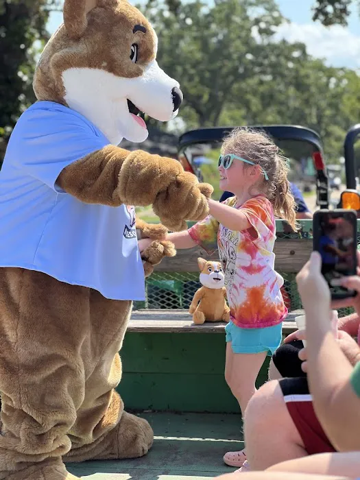 Great Escapes Camping & Cabins Branson Picture 2