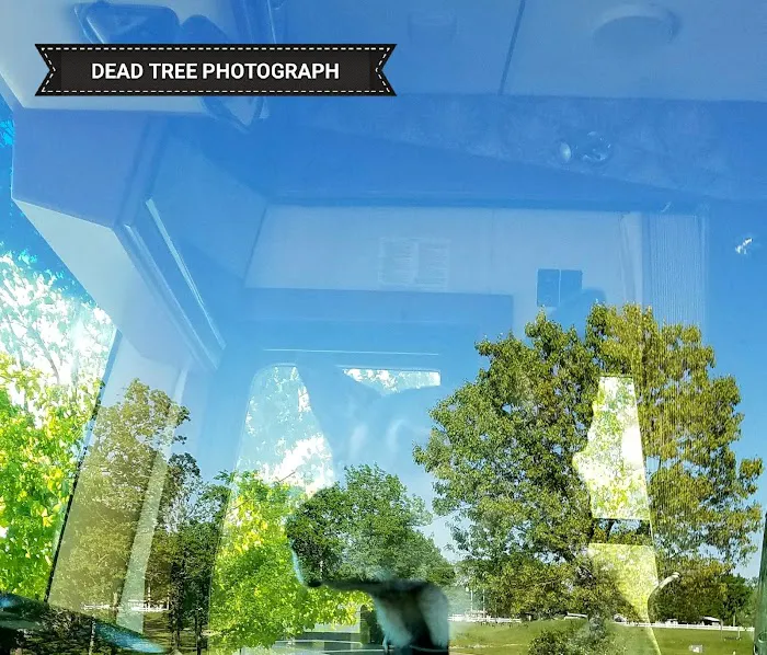 Summit Ridge Manufactured Home Community Picture 8