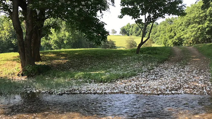 Kings River Hitchin’ Post RV & Campground Picture 3