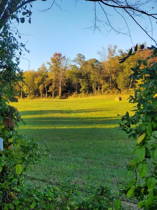 Kecks Creek Crossing Picture 1