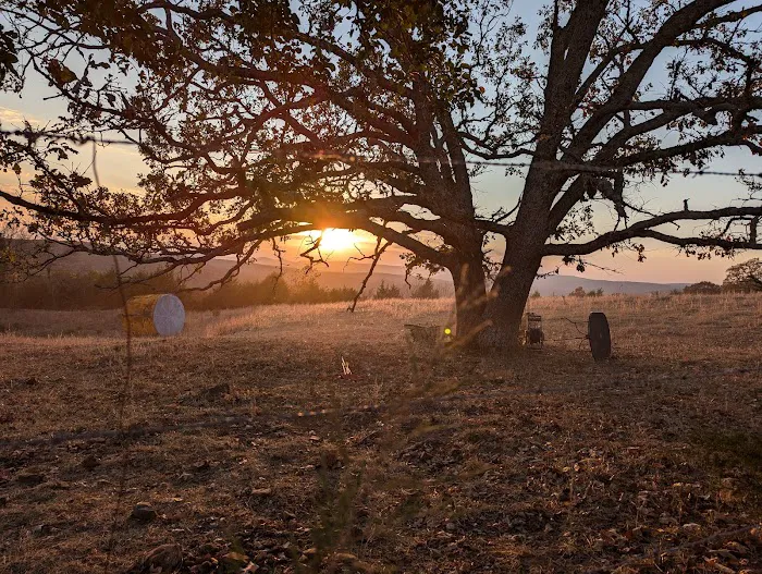 Kecks Creek Crossing Picture 6